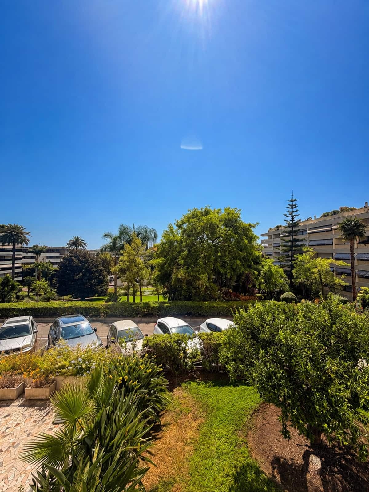 La vue depuis la terrasse sur les jardins et les palmiers de la résidence